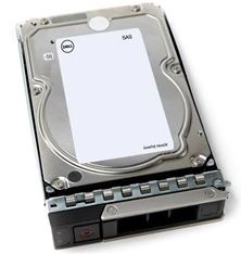 Dell Hdd 12TB Rpm Nl - Sas 12GBPS, 7.2k, 512E 3.5 Hot- Plug Hard Drive Ck, For Dell Servers Poweredge C6420, R240, R340, R540, R6415, R650, R6515, R740XD, R740xd2, R7415, R7425, R750, R7515, R7525 And Powervault NX3240, NX440